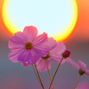 BS6T9424 (6)-500mm-F4,0-231103-Luminar N
