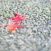 BS6T6941......SILKYPIX_DS_PRO...7---2---
