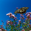 BS6T7776-21mm-F16-231016-....SILKYPIX_3-