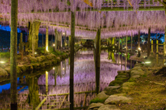 IMG_8053_hdr (1) (4)