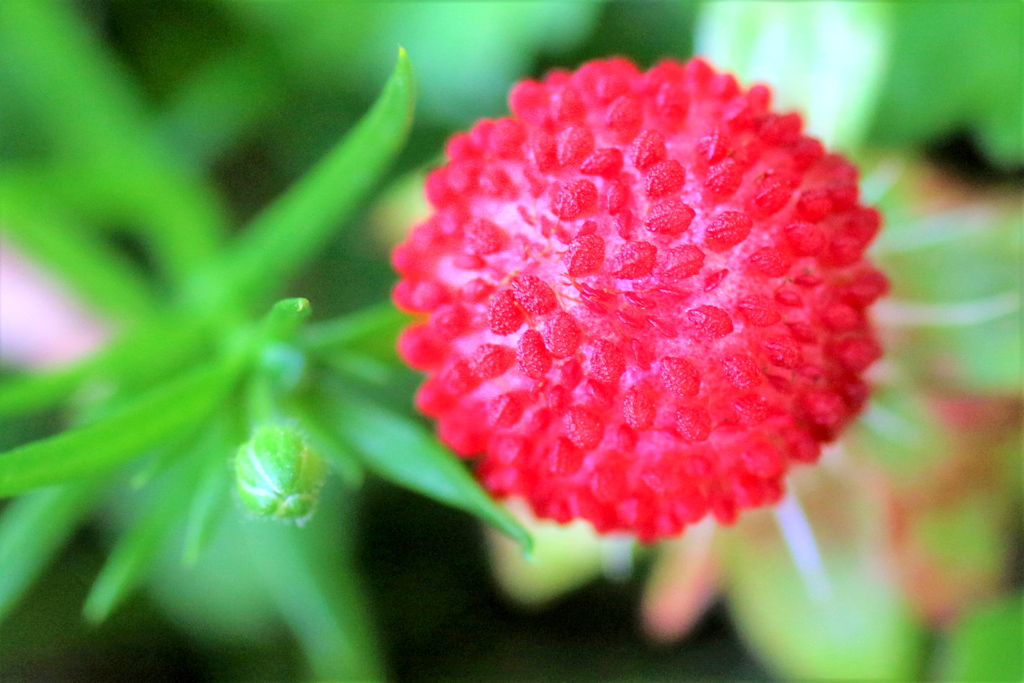 093A9730.....5....2......SILKYPIX...
