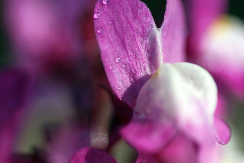 IMG_5272...3