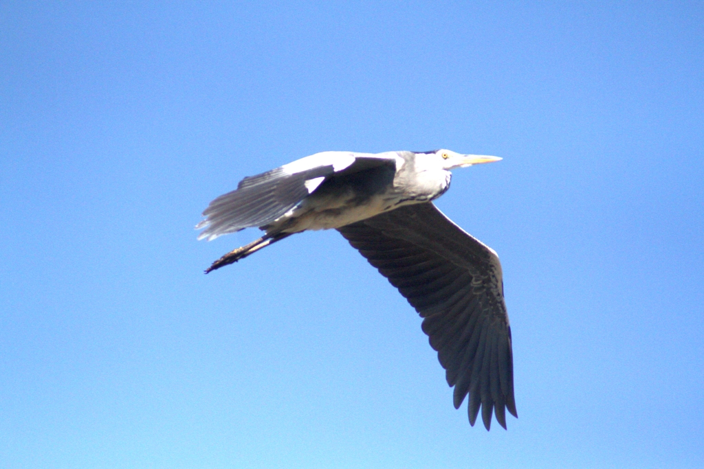 IMG_5216..2
