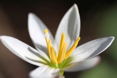 IMG_1740..2