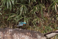 IMG_3592...2....