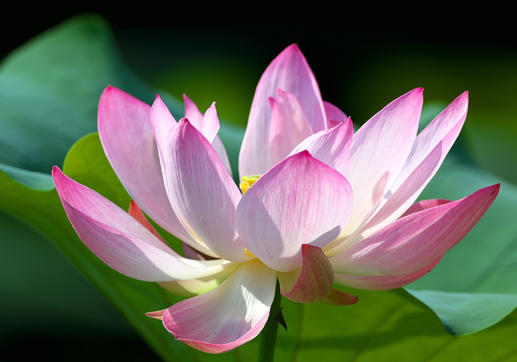 093A3389......SILKYPIX_DS_PRO...13..