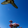 BS6T7809-21mm-F16-231016-....SILKYPIX_3-