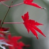 093A8248......SILKYPIX_DS_PRO..09-2...3