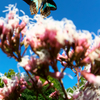 BS6T8784-21mm-F16-231016-....SILKYPIX_9-