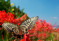 BS6T6285-23mm-F6,3-230928-....SILKYPIX_9