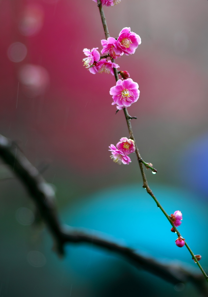 BS6T7957__BS6T7959_合成_1__7