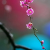 BS6T7957__BS6T7959_合成_1__7
