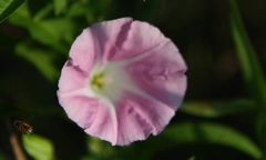 IMG_1542...........2