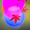 BS6T1458......SILKYPIX_DS_PRO......21121
