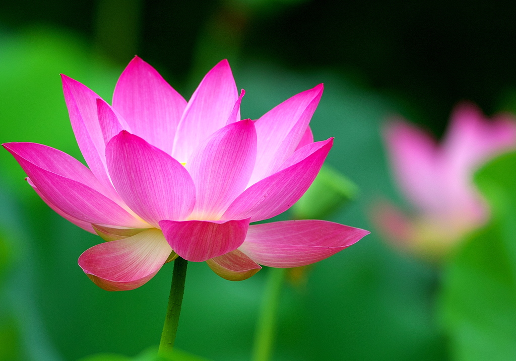 093A1724......SILKYPIX_DS_PRO...935..