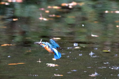 093A0535..2..3_filtered