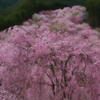 IMG_8834 (-28mm-F8,0-230406-Luminar Neo.