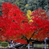 BS6T9622......SILKYPIX_DS_PRO...9---3...
