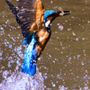 093A9762 (7)-500mm-F6,3-210222-Luminar N