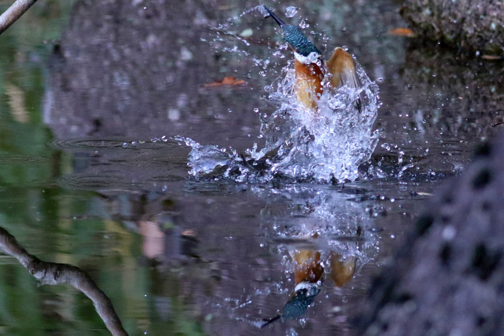 093A0402..2...3_filtered