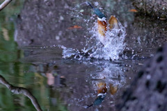 093A0402..2...3_filtered