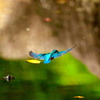 093A5468......SILKYPIX_DS_PRO..3...
