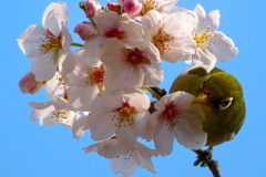 093A8662...2..............SILKYPIX......