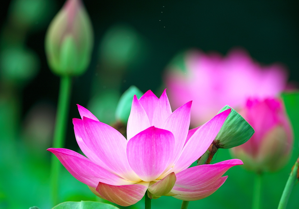 093A3011......SILKYPIX_DS_PRO..7...