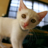 093A0930......SILKYPIX_DS_PRO..7....2111