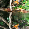 BS6T1990......SILKYPIX_DS_PRO...7...2111