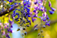 093A8149....2................SILKYPIX...