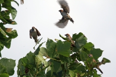 IMG_8105..2