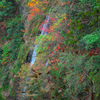 IMG_5310-47mm-F18-241114-SILKYPIX_2