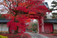 IMG_3471-47mm-F11-241220-Luminar Neo... 