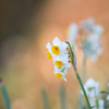 BS6T9862 (3)--231226-....Luminar Neo
