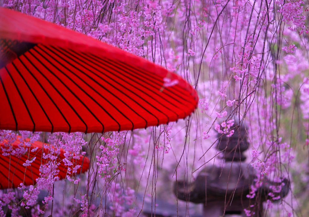 BS6T8831-180mm-F3,5-230406