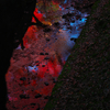 IMG_6222-105mm-F4,0-241204-SILKYPIX_..1-