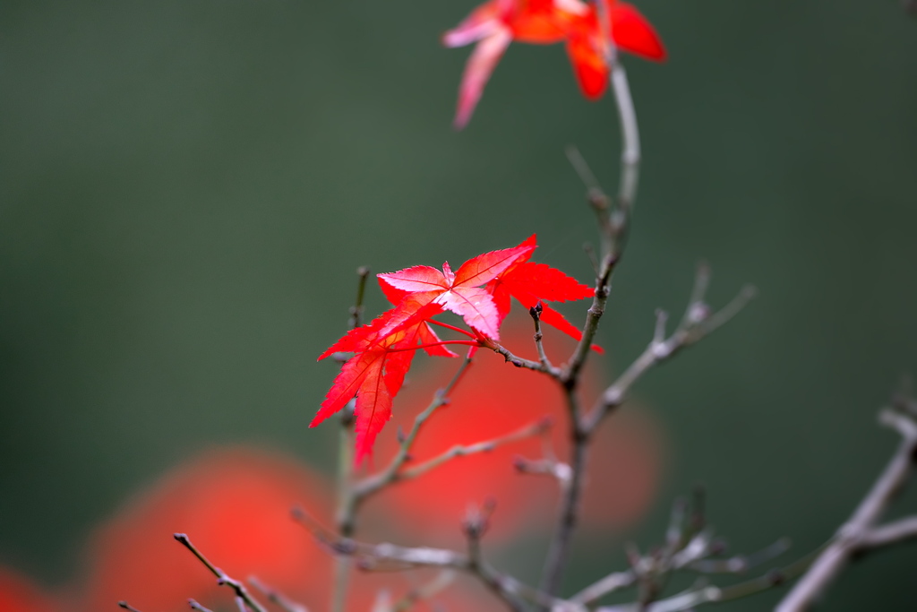 093A0890......SILKYPIX_DS_PRO...6..