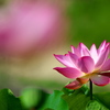 093A3437......SILKYPIX_DS_PRO...3..