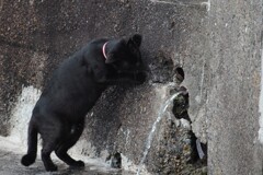 IMG_0555...