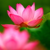 093A2810......SILKYPIX_DS_PRO...3..