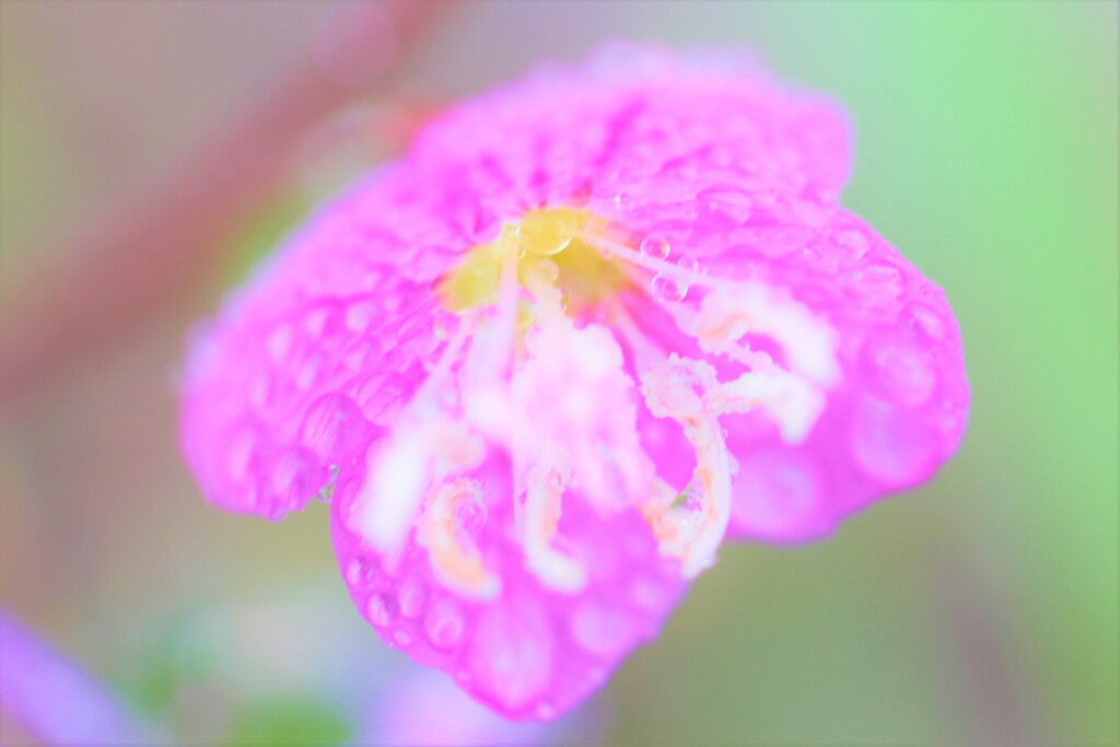 IMG_9878..2........5...