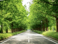 205D3CCD-D3C8-4539-A165-7DF6F0AE8541