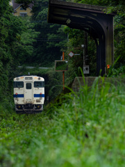 緑の駅