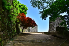 岡城石垣