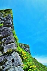 天空の城 津和野