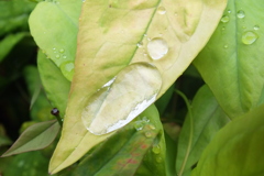 FUJIFILM HS20 EXR テスト撮影(10)