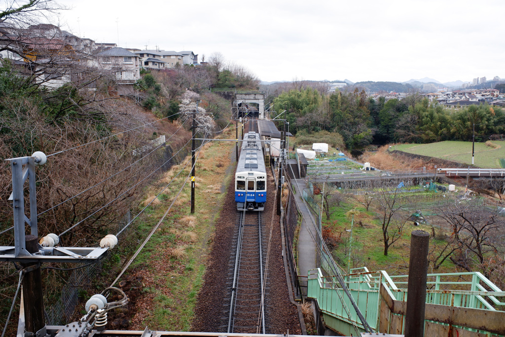 能勢電　リバイバルカラー(b)