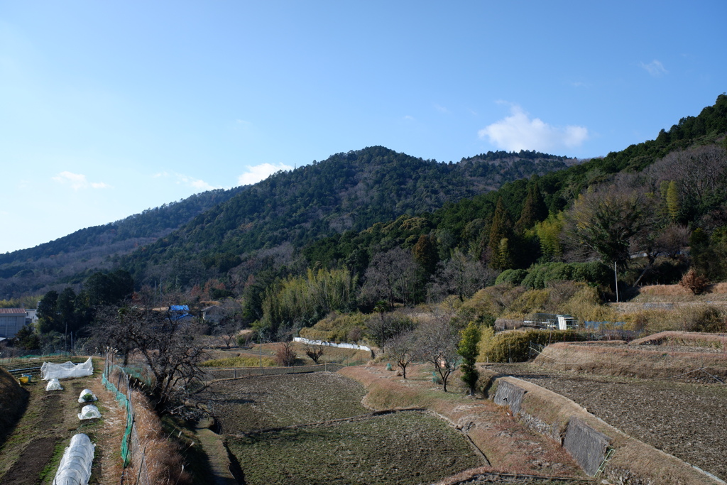 冬景　里山