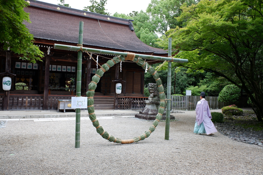芽の輪くぐり(2)